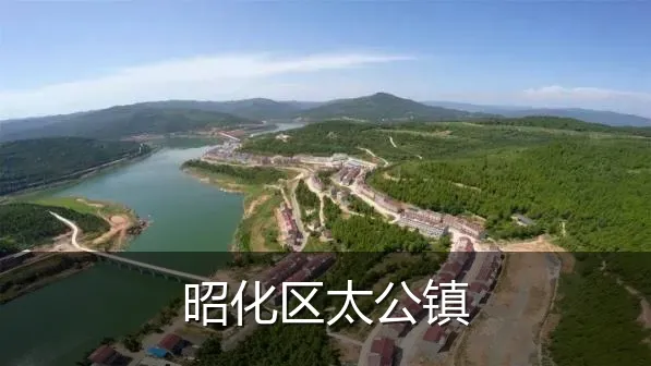 昭化区太公镇