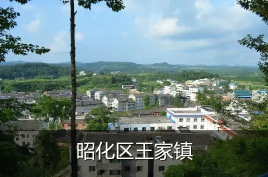 昭化区王家镇