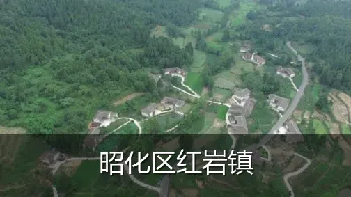 昭化区红岩镇